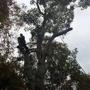 Meet your Posher, Steven